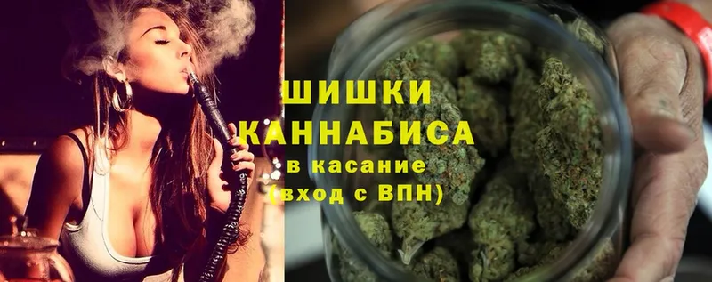 Каннабис OG Kush  Нариманов 